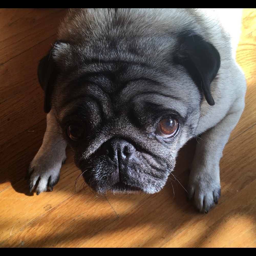 Meet your Posher, Lisanne